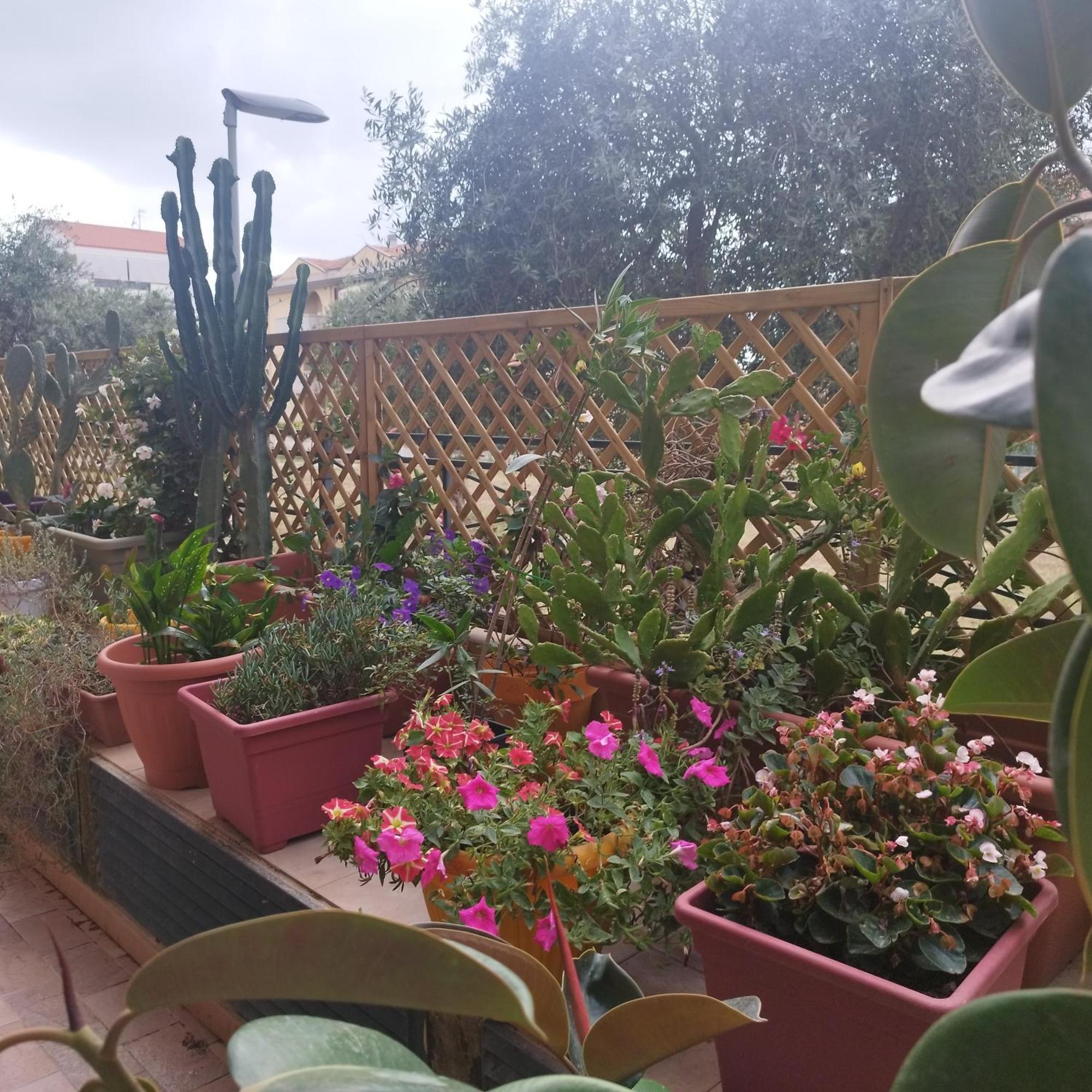 Apartament Alghero Lovely Flat Zewnętrze zdjęcie