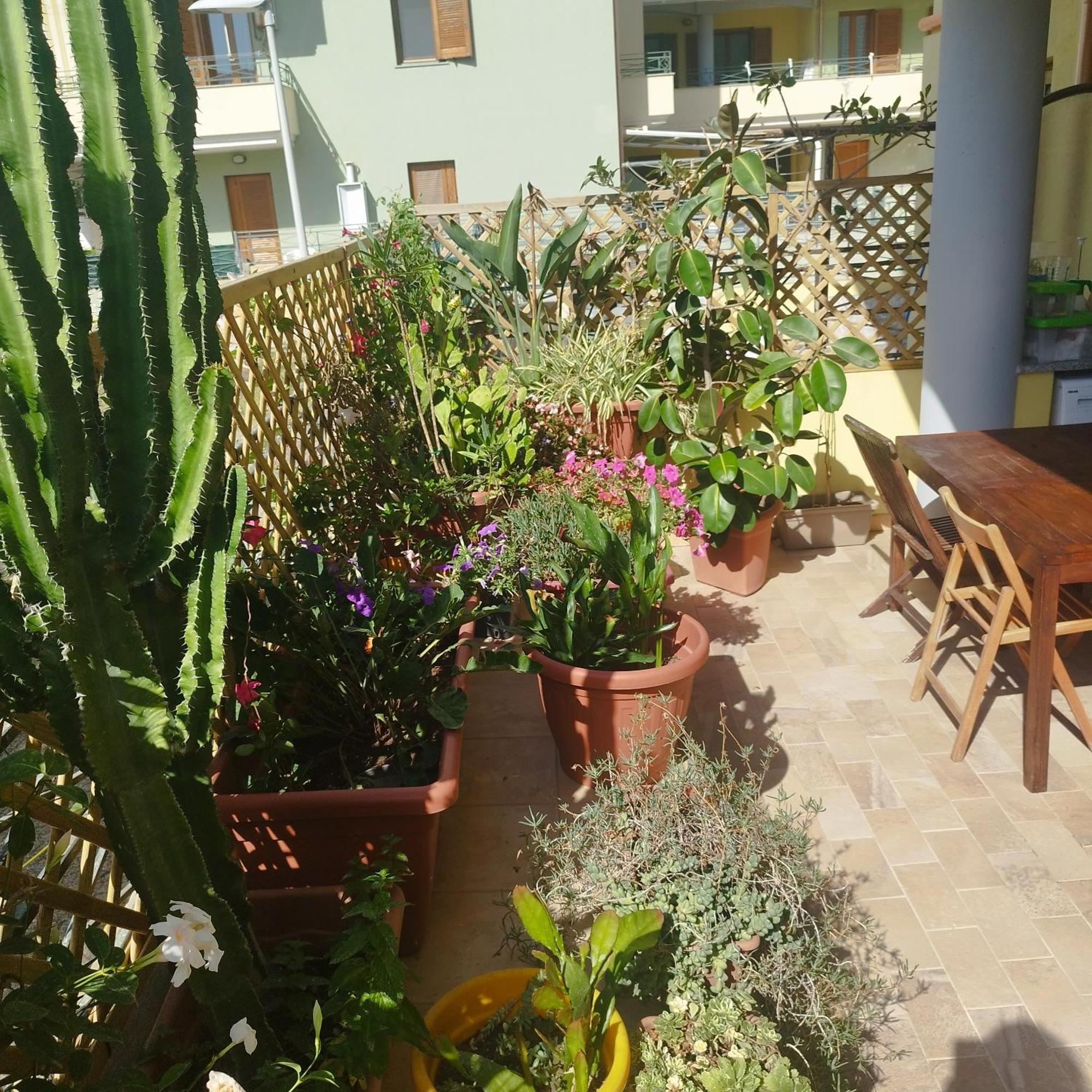 Apartament Alghero Lovely Flat Zewnętrze zdjęcie